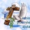 user905661244