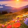 user913017249