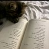 hichemtayeb2