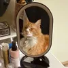 imalmostginger
