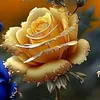 user3680336153993