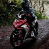 rendi_mv6