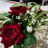 yoe_nie83