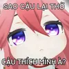 baoloahtoan