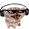 camaradekitty