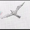 geogesus