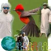 naseerorakzai555