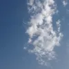 s____2.m