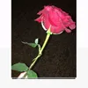 user595481123