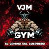 vjmgym