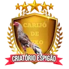 carijodeluxo.oficial