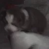 tomasgalindo01