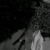 kayo_778
