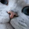 emre_uslu_66