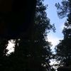 sunsets138