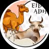 ahmadrasyid146._