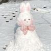 snow0220