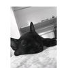 wendy_mantilla08