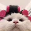 dangcogang8686