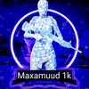 maskaqarxis