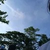 solaholaslay