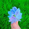 user318227550nisha