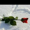 user2314227549670