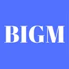 sn_bigm
