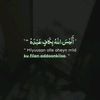 nawaley2323