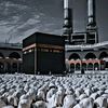 tariq1215
