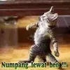 putragombong366