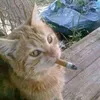 hoppy_720r
