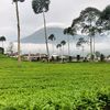 helmiraditya08