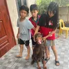 vietducthanh