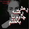 barzanbarzan14