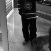 badboylagos