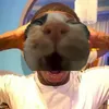 slynn_dyii