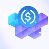 coinscollector03