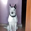 makoke_13