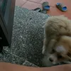 haokim10