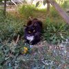 robin46589