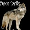 canavar.95.n