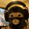 garycrack6