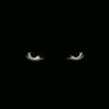 farhan_typist1