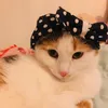 dany_ginger