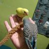 birdmama25