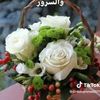malihamohamed0