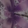 lilian_silme