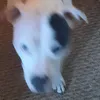 marshallwendy1