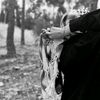 bent_jenin_